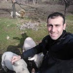 Erdi