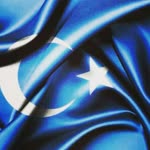 Hama