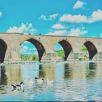 Diyar