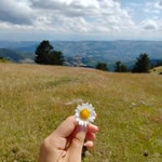 Busra