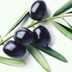 Osman
