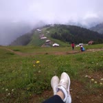 Adviye