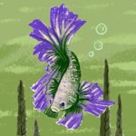 Latif