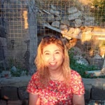 Aylin