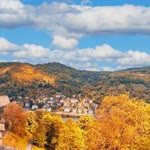 Tolga