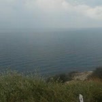 Çiğdem