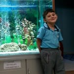 Tayfun