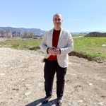 Şahin