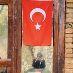 Saliha