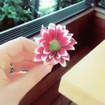 Sevda