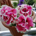 Fatma