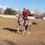 Bilal