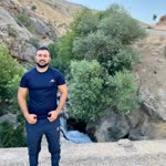 Şahin