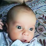 Mesut