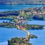 Papatya