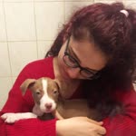 Emine