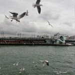 Sıdıka