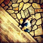 Yasemin