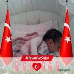 Enes