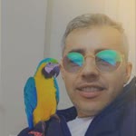 Salim