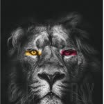 Tolga