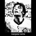 Doğan
