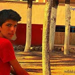 Mehmet