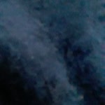 Tamer