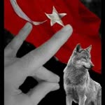 Cengiz