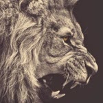 Kerim