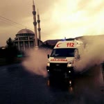 Şahin