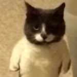 The