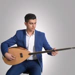 Şahin
