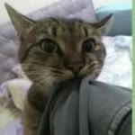 Profil fotoğrafı