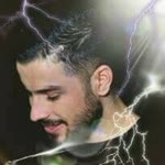 Rehber