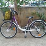 Sezer