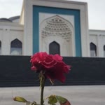 Osman