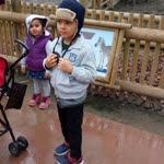 Murat