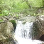 Erdem