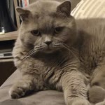 Burak