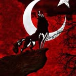 Halil