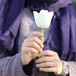 Shaghaf