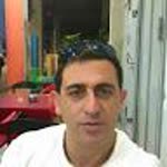 Özgür