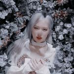Blackpink
