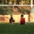 Umut