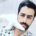 Ensar