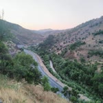 Celal