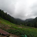 Salih