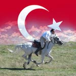Fevzi