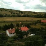 Yaşar